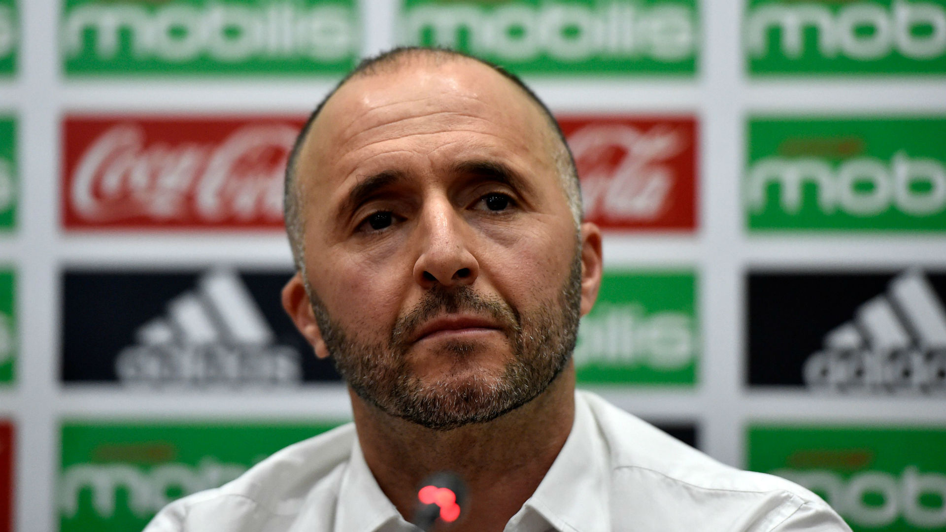 Djamel Belmadi, the Algerian manager