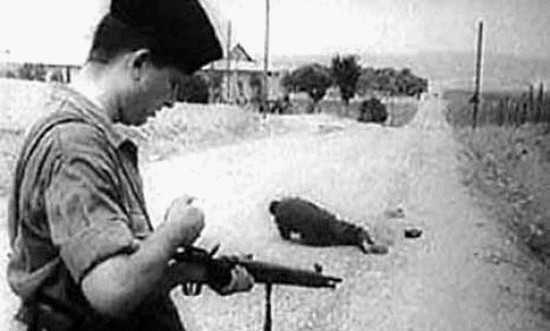 In memoriam: May 8, 1945 in Algeria